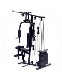 HOME GYM HG 100 FORCE USA