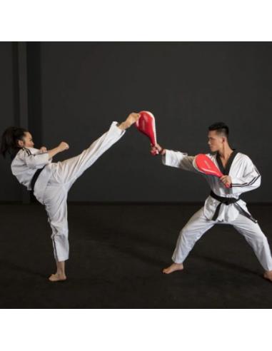 CIBLE DE TAEKWONDO SMAI