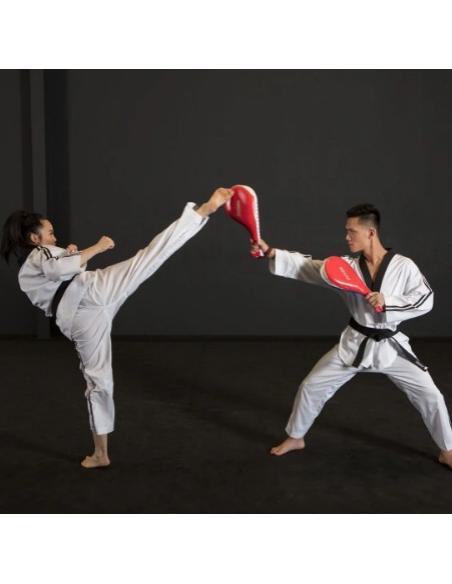 CIBLE DE TAEKWONDO SMAI
